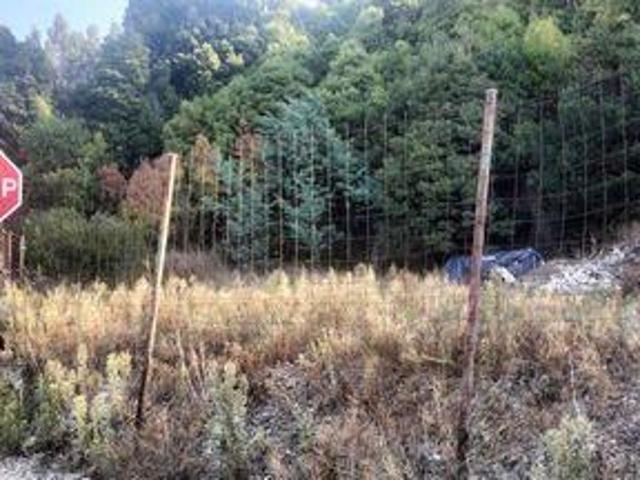 Terrenos Penafiel Porto DLS95535527