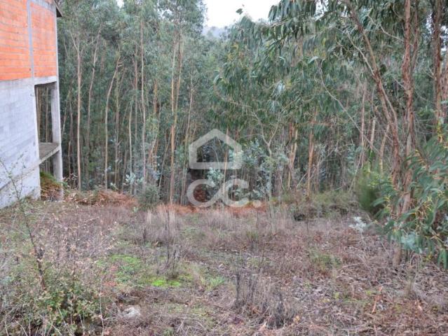 Terrenos Penafiel Porto DLS96034411