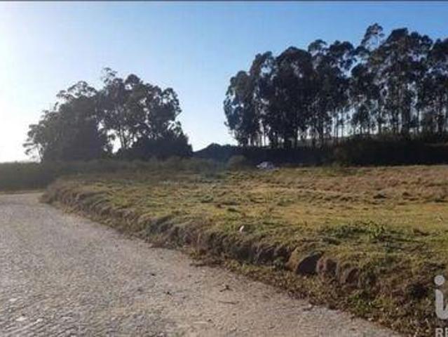 Terrenos Penafiel Porto DLS100881260