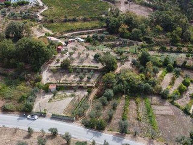 Terrenos Penalva Do Castelo Viseu DLS95507257