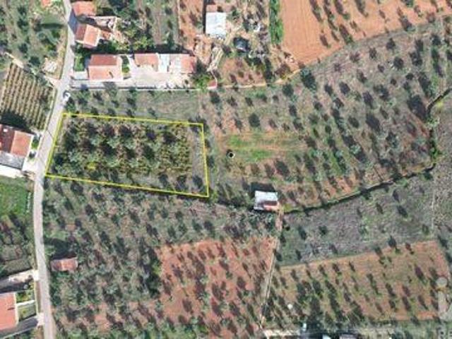 Terrenos Penela Coimbra DLS95928778