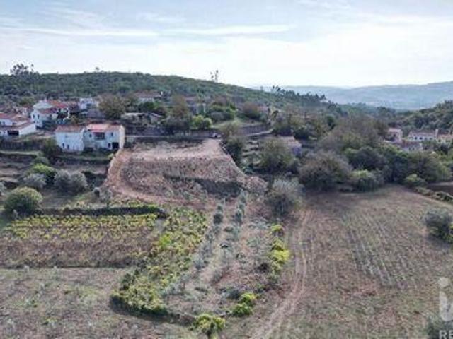 Terrenos Penela Coimbra DLS96594067