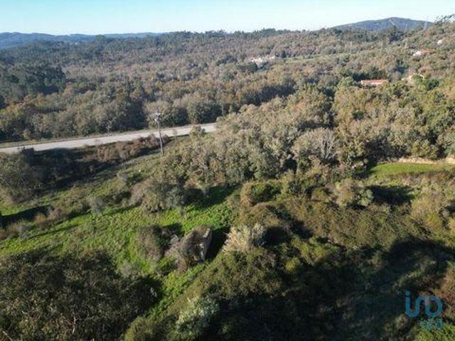 Terrenos Penela Coimbra DLS97107777