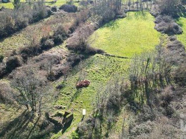 Terrenos Penela Coimbra DLS97113555