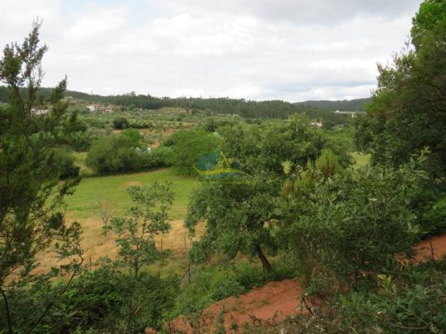 Terrenos Penela Penela DS91851512
