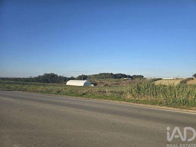 Terrenos Peniche Leiria DLS96391942