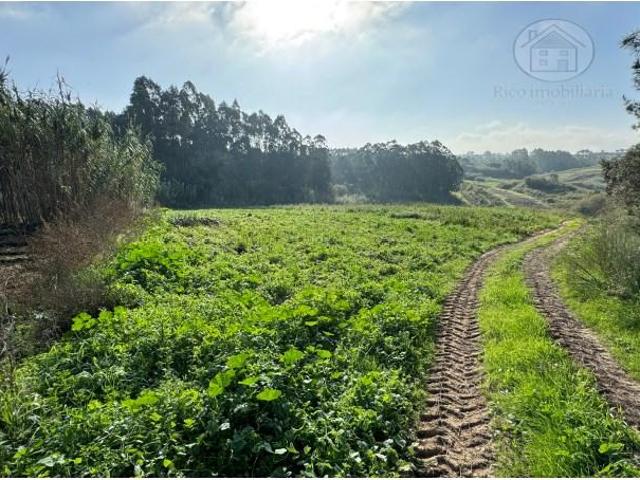 Terrenos Peniche Peniche DLS87044081