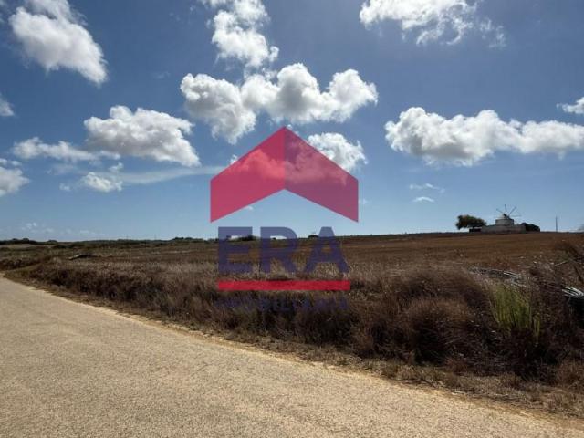Terrenos Peniche Peniche DLS94088526