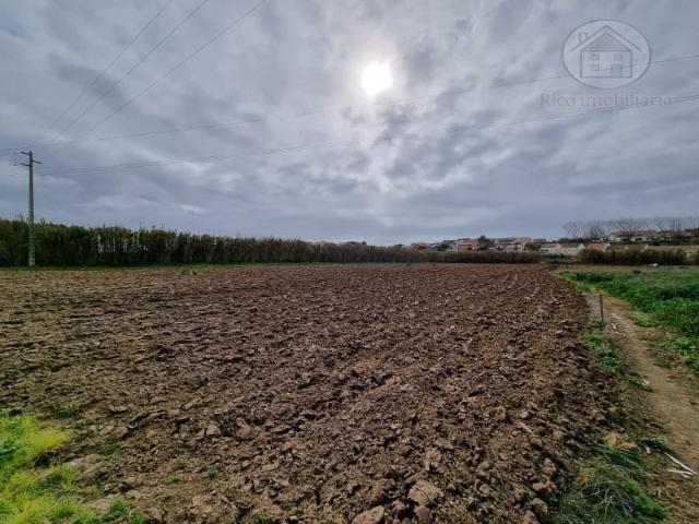 Terrenos Peniche Peniche DS99344195