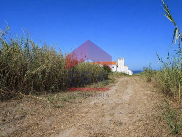 Terrenos Peniche Peniche DS100848898