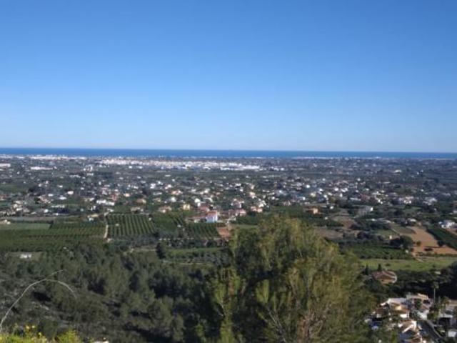 Terrenos PEDREGUER ALICANTE 103373106
