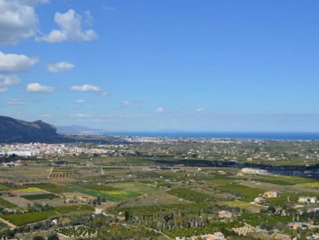 Terrenos Pedreguer Alicante LS101785562