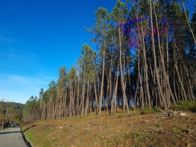 Terrenos Pedrógão Grande Pedrógão Grande DLS100590084