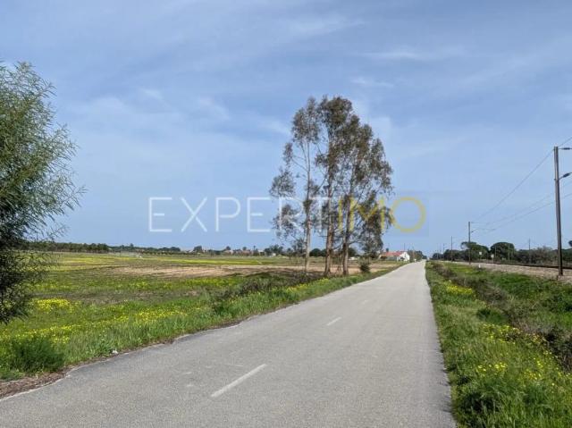 Terrenos Pegões Setúbal DS96158630