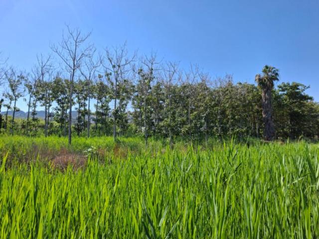 Terrenos Pego Alicante 104108264
