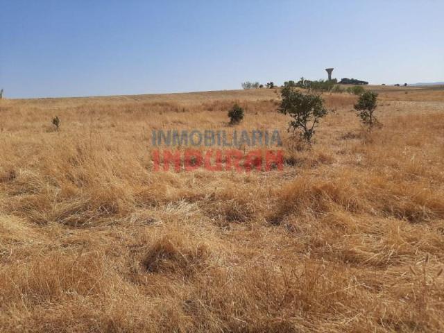 Terrenos Peraleda De La Mata Peraleda De La Mata 102546153