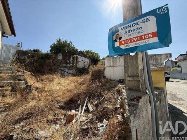 Terrenos Peso Da Regua Vila Real DLS98150150