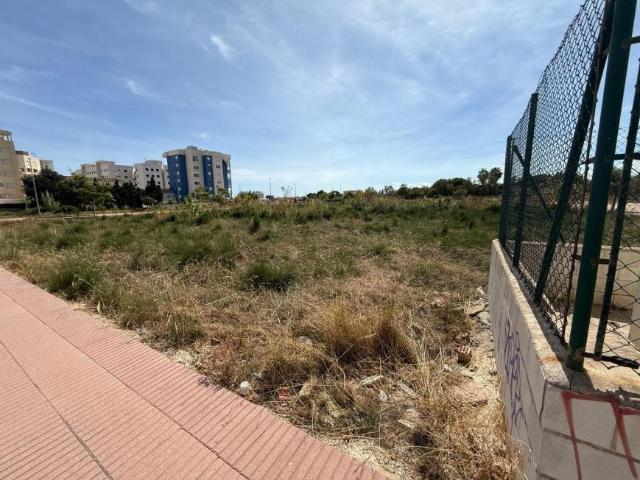 Terrenos Piles Valencia 101013453