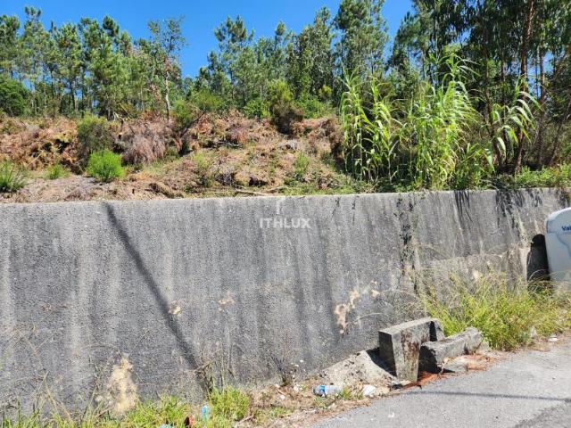 Terrenos Pombal Leiria DS87553329