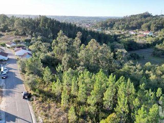 Terrenos Pombal Leiria DS96043281