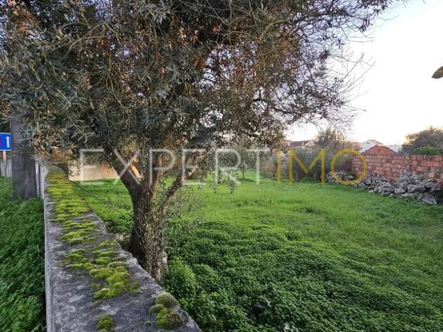 Terrenos Pombal Leiria DS96119009