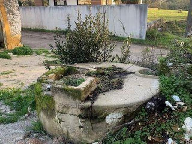 Terrenos Pombal Leiria DS98150385