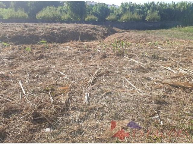 Terrenos Pombal Pombal DS90023169