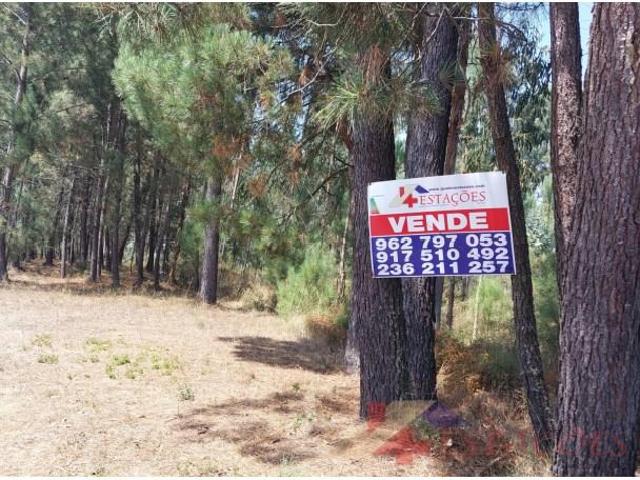Terrenos Pombal Pombal DS93602344