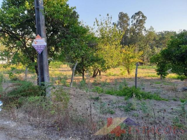 Terrenos Pombal Pombal DS94701410
