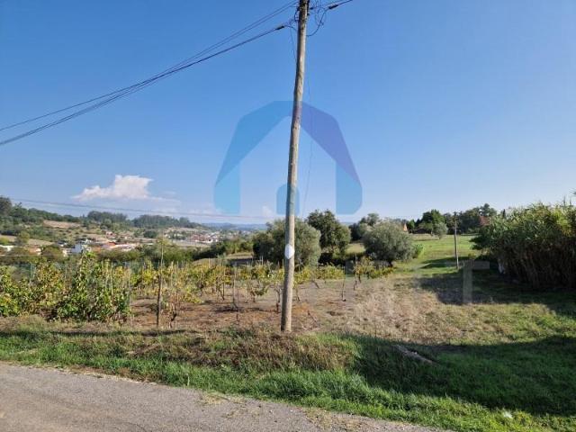 Terrenos Pombal Pombal DS95450364