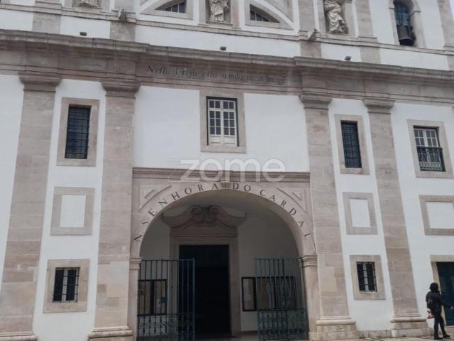 Terrenos Pombal Pombal DS96394036