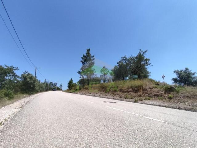 Terrenos Pombal Pombal DS97120255