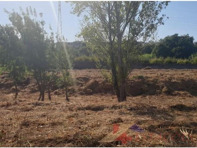 Terrenos Pombal Pombal DS99617706