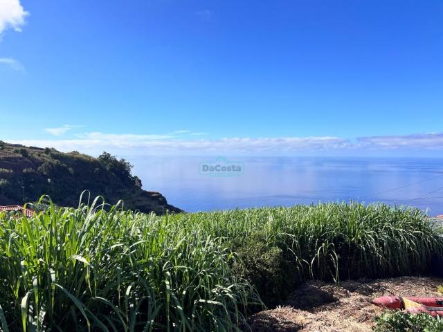 Terrenos Ponta do Sol Ilha da Madeira DS87986164