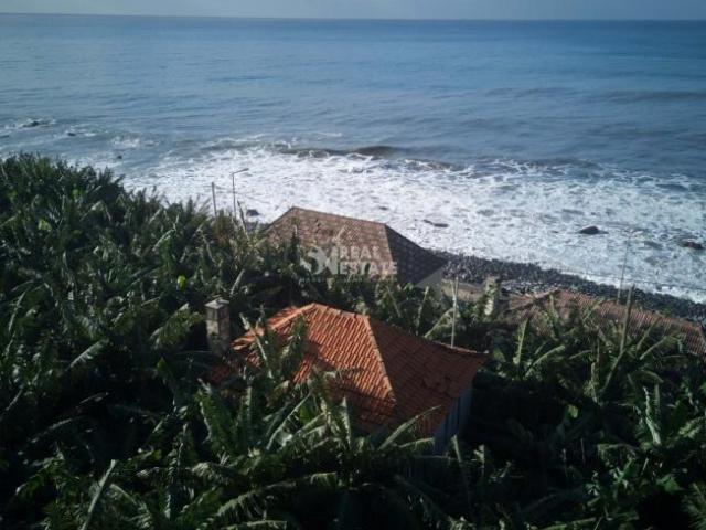 Terrenos Ponta do Sol Ilha da Madeira DS88599798