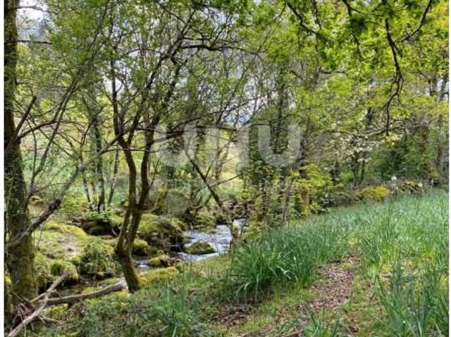 Terrenos Ponte da Barca Ponte da Barca DLS95021011