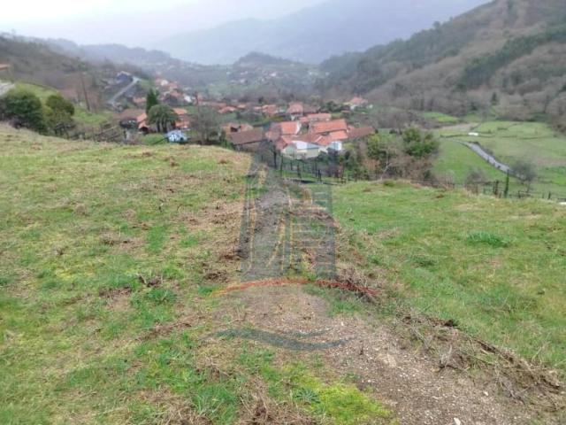 Terrenos Ponte da Barca Ponte da Barca DLS99271942