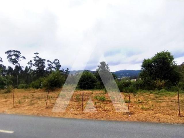 Terrenos Ponte de Lima Ponte de Lima DLS97192545