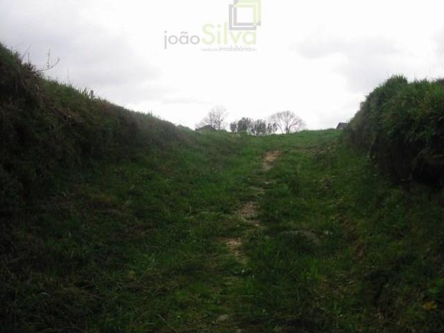 Terrenos Ponte de Lima Ponte de Lima DLS99923843