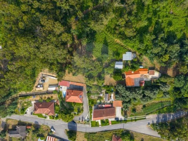 Terrenos Ponte de Lima Ponte de Lima DS99732858