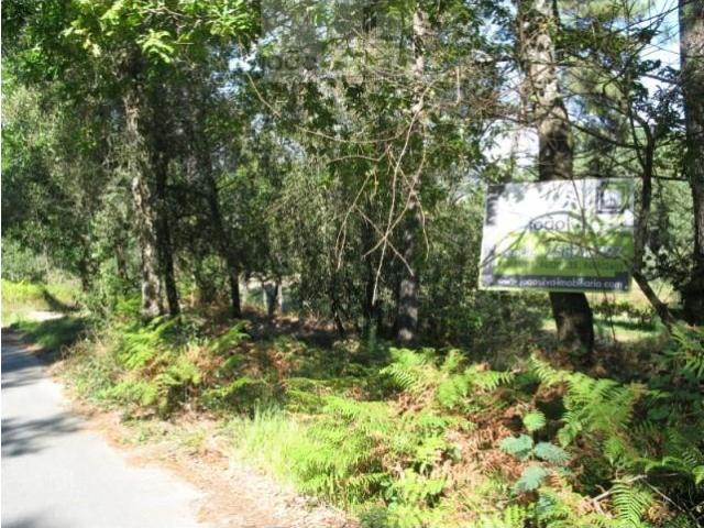 Terrenos Ponte de Lima Ponte de Lima DS99902557