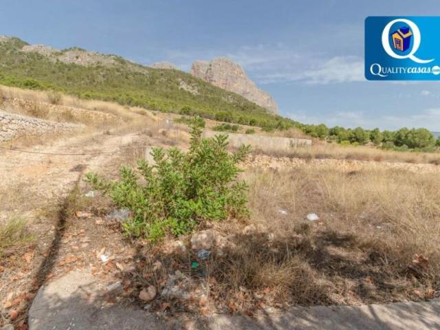 Terrenos Polop Alicante 101043623