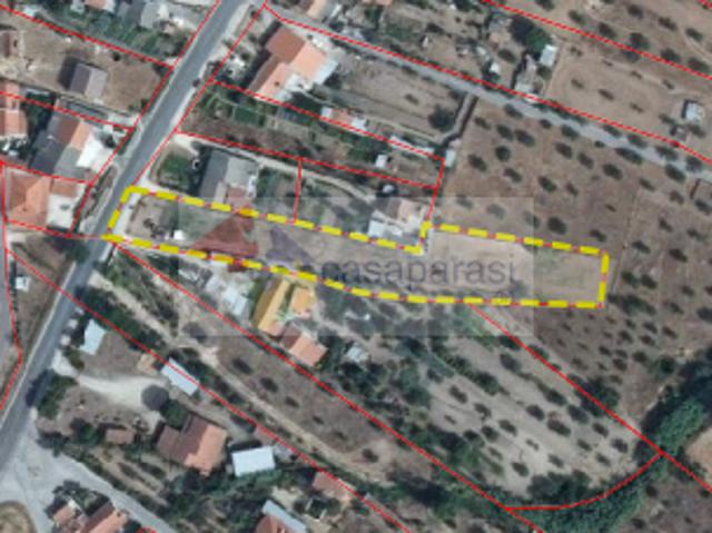 Terrenos Portalegre Ponte de Sor 7400 DLS101261670