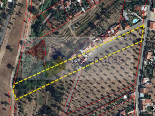 Terrenos Portalegre Ponte de Sor 7400 DLS102468140