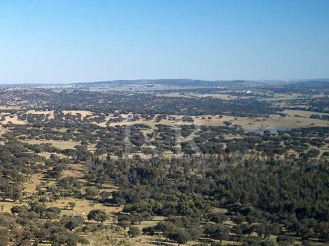 Terrenos Portalegre Portalegre DLS90124956