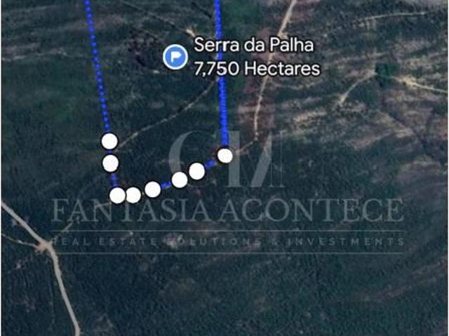Terrenos Portalegre Portalegre DLS98757499