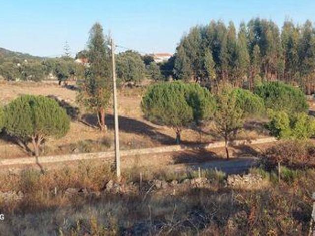 Terrenos Portalegre Portalegre DS94990713