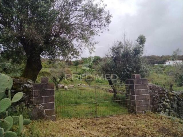 Terrenos Portalegre Portalegre DS102587342