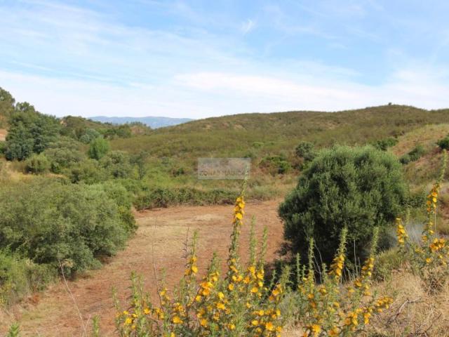Terrenos Portimão Algarve DS96931381