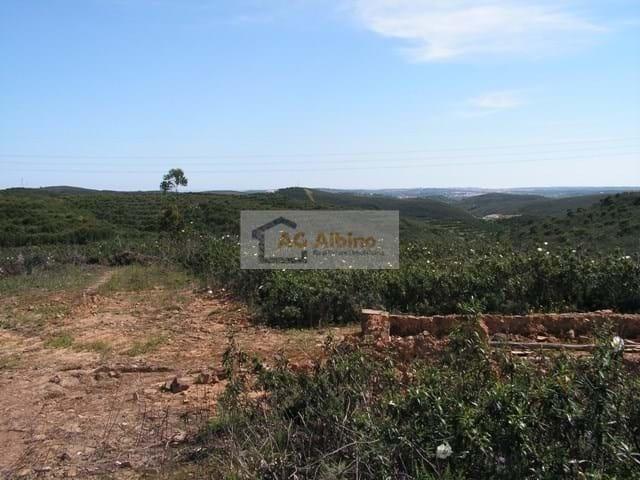 Terrenos Portimão Algarve DS99722851